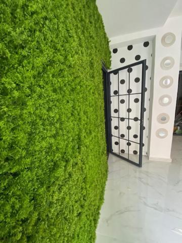 Suite 43 แตร์ราซีนี ภายนอก รูปภาพ